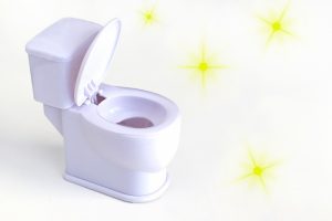 リフォーム後のトイレをきれいに保つ！毎日のお掃除方法と尿石の落とし方をご紹介s (1)